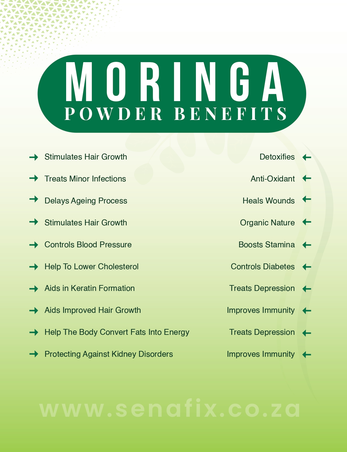 Senafix Moringa Powder - 5 Pack - My Drink2Shrink